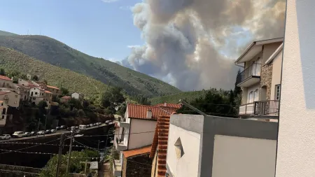 Incêndio florestal em Arganil: A trovoada seca acendeu as chamas
