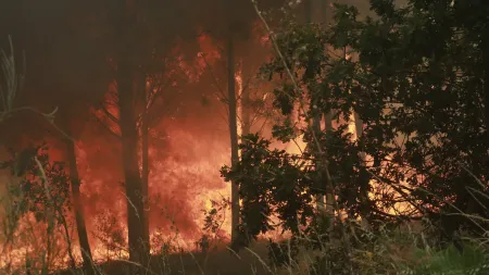 Incêndio em Arganil: Aldeias em alerta e moradores evacuados
