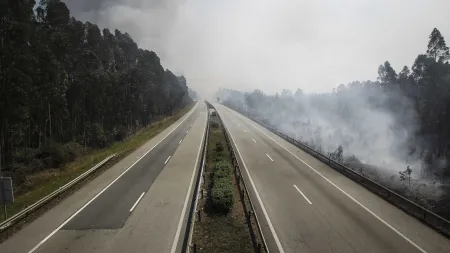 Incêndios afetam circulação em estradas de Viseu e Guarda