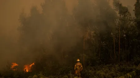 Incêndio na Serra do Açor alarga-se a Oliveira do Hospital e Seia