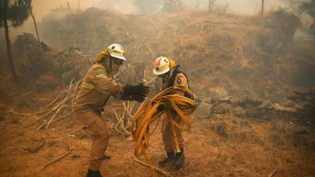 Incêndio em Trancoso devora quase 14.000 hectares