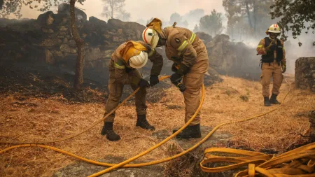 Incêndios Rurais em Portugal: 59 Registos e 7 Alerta Vermelho