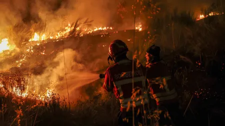 Incêndio em Fornos de Algodres com Duas Frentes Controladas