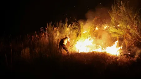 Incêndio em Viseu: Três frentes em combate, uma a recuar
