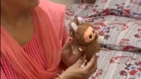 Indígena adora Labubu após acreditar que é uma divindade