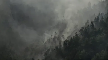 Trancoso respira fundo após incêndio devastador