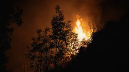Família bravura na Serra do Açor: Resiste ao incêndio com baldes de água