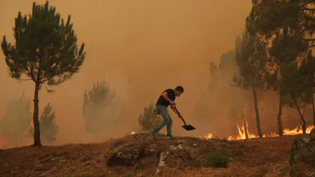 Chamas em Arganil ameaçam avançar para Pampilhosa da Serra