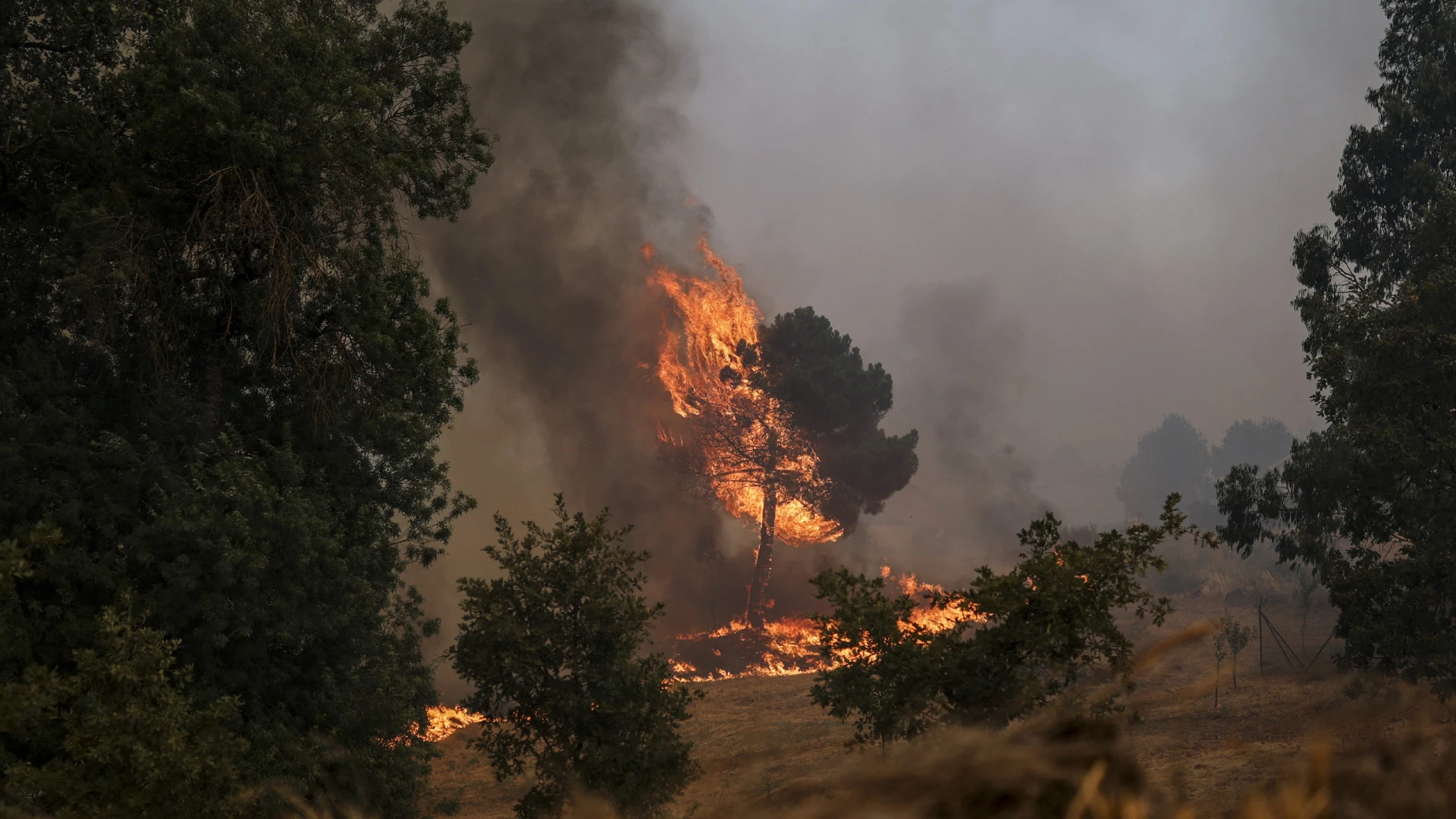 Incêndio em Portalegre e Castelo de Vide avança com três frentes ativas