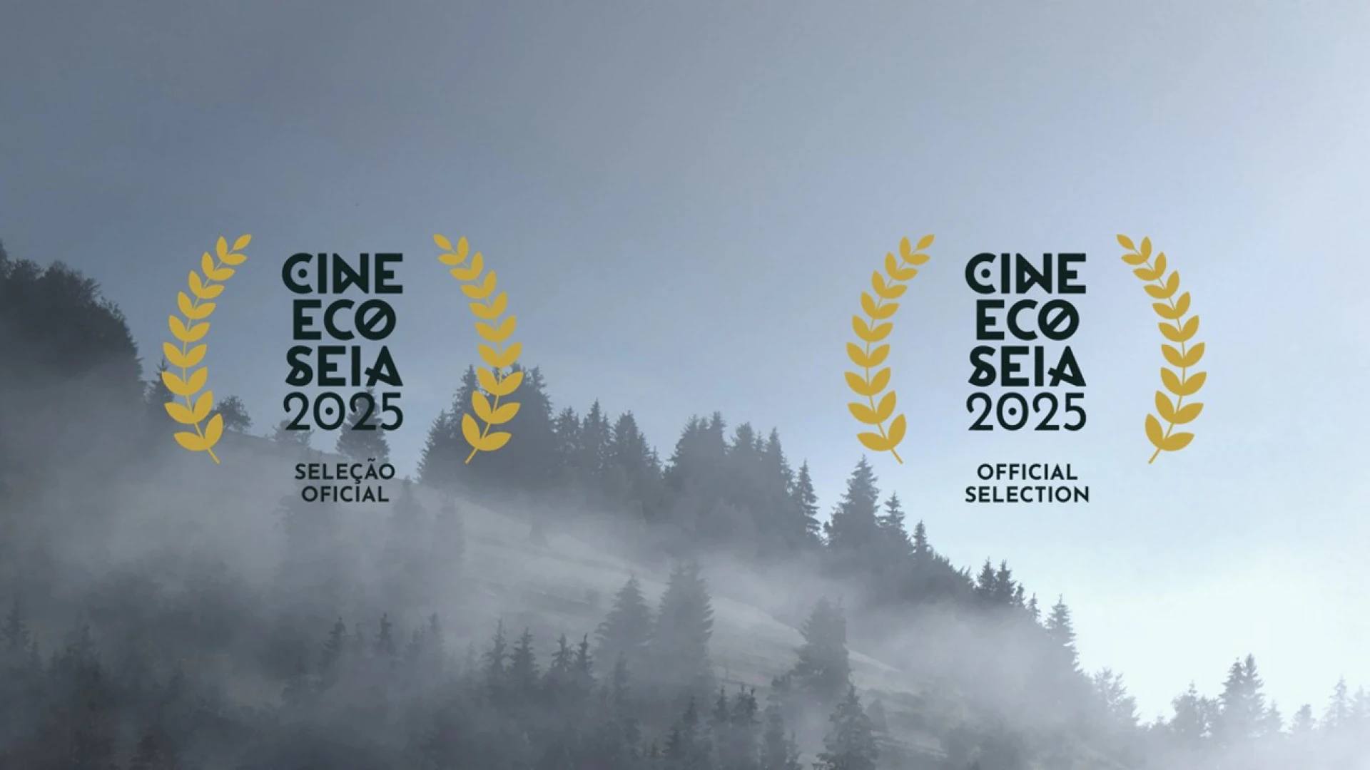CineEco de Seia apresenta 81 filmes e estreia nova categoria para curtas-metragens