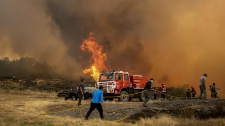 Incêndios florestais em Portugal: 75 mil hectares devastados, o pior desde 2017