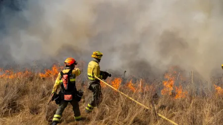 Incêndios em Aguiar da Beira: Autarca alerta para grave situação em Gradiz e Granjal