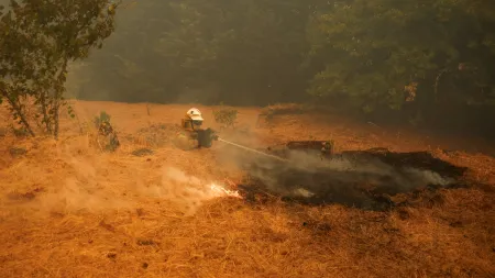 Incêndio na Serra da Lousã mobiliza mais de 240 bombeiros para o combate às chamas
