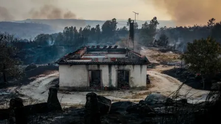 Tranquilidade regressa a Fornos de Algodres após incêndios intensos