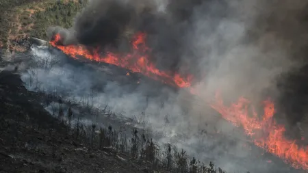 Incêndio na Serra da Lousã: Evacuações e Luta Contínua Contra as Chamas