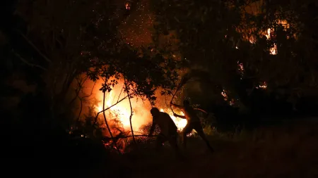 Forças Armadas reforçam combate a incêndios com mais de 3.200 militares