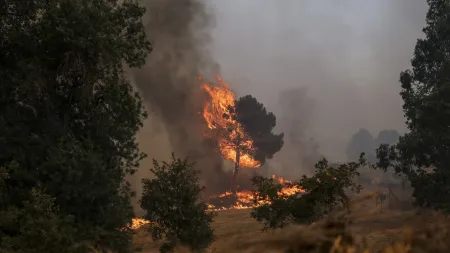 Incêndio em Portalegre e Castelo de Vide avança com três frentes ativas