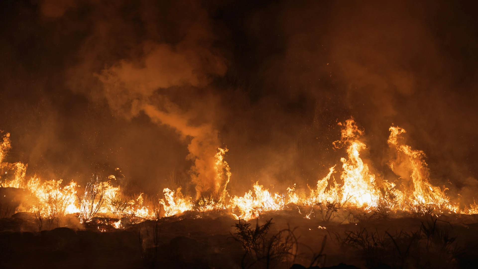 Incêndio em Arganil atinge várias aldeias e preocupa na Mata da Margaraça