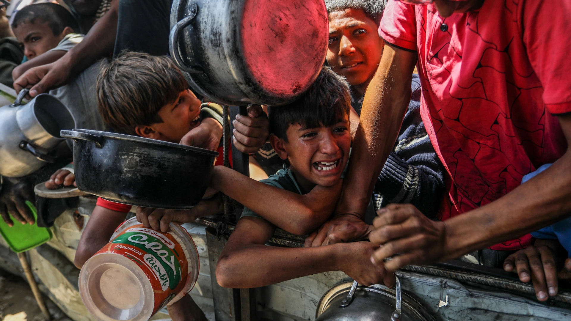 Mais de 1.700 vidas perdidas em Gaza à busca de assistência humanitária, revela ONU