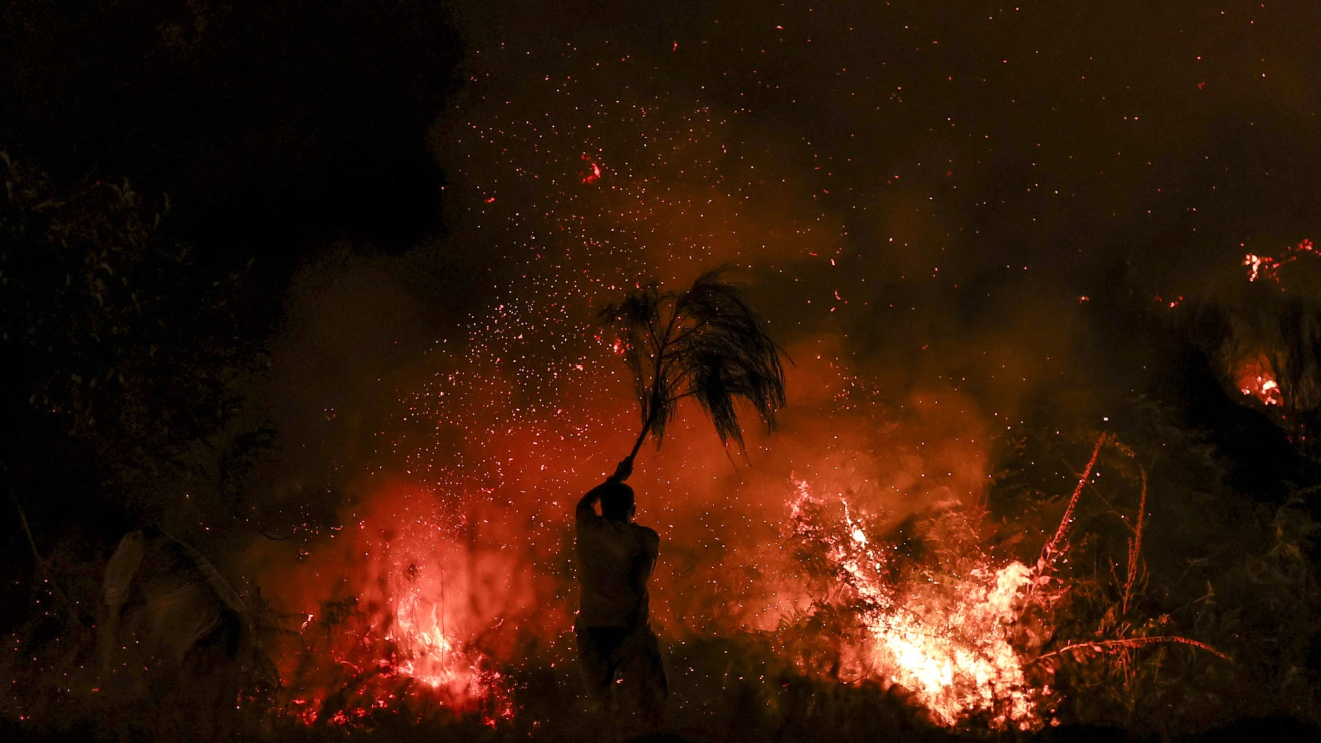 Governo expressa pesar pela primeira vítima dos incêndios e apela à calma