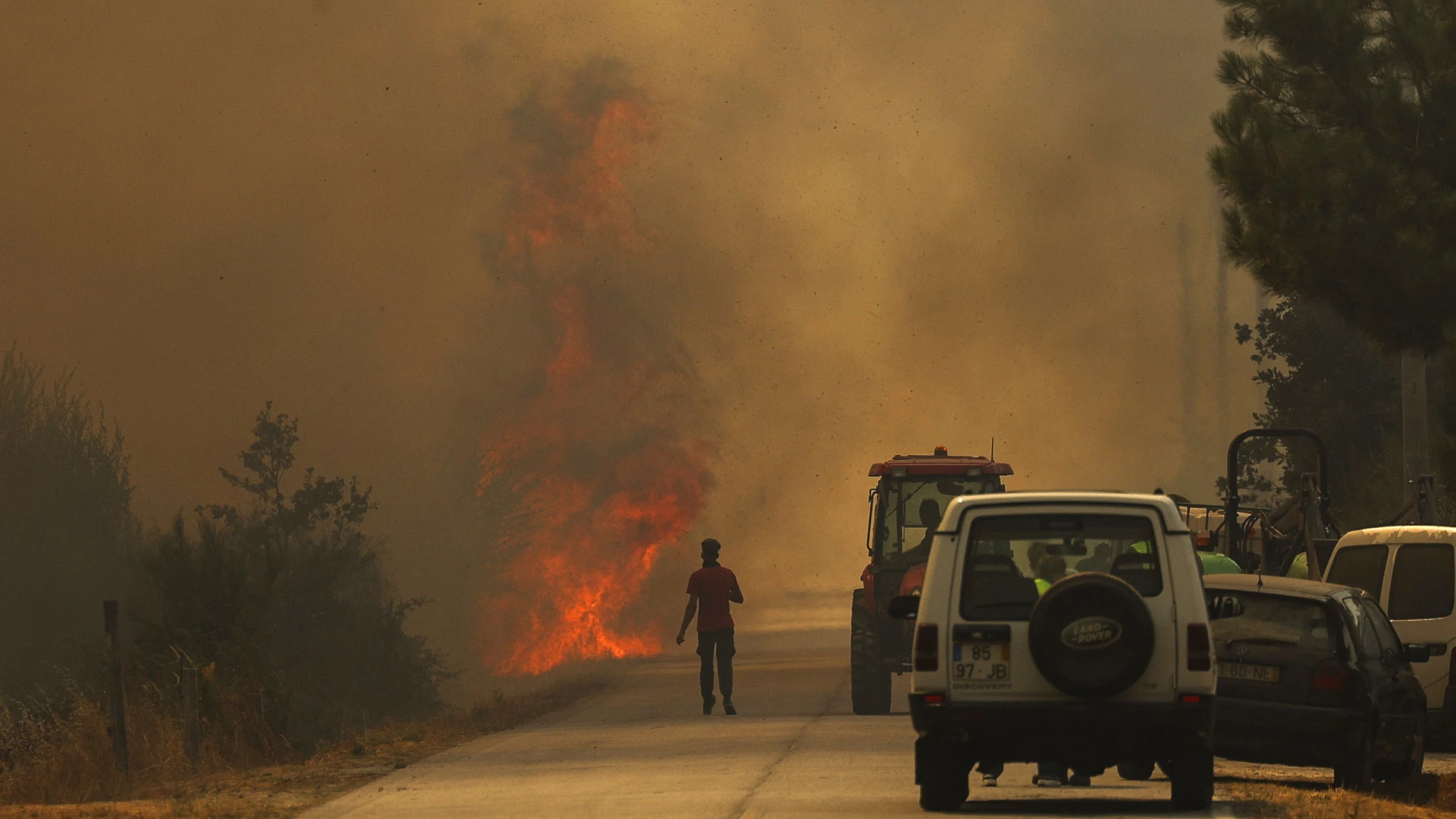 Incêndio em Figueiró dos Vinhos Mobiliza Equipas Aéreas e Terrestres
