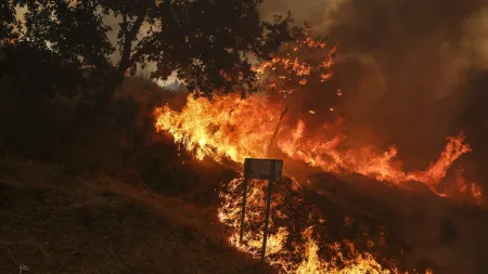 Força de combate a incêndios em Portugal mobiliza mais de 3.500 operacionais