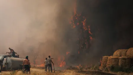 Risco Elevado de Incêndios no Interior e Algarve