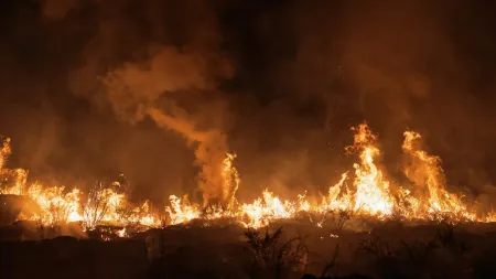 Incêndio em Arganil atinge várias aldeias e preocupa na Mata da Margaraça