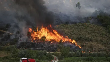 Aumento alarmante de incêndios florestais em Portugal: mais de 800 casos de fogo posto