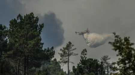 Cortes de Estradas Nacionais em Várias Regiões Devido a Incêndios Florestais