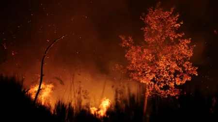 Incêndio em Mêda causa ferimentos a quatro bombeiros