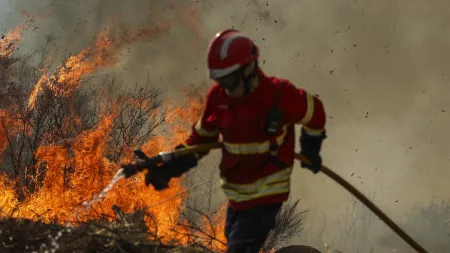 Reacendimento do Incêndio em Portalegre e Castelo de Vide
