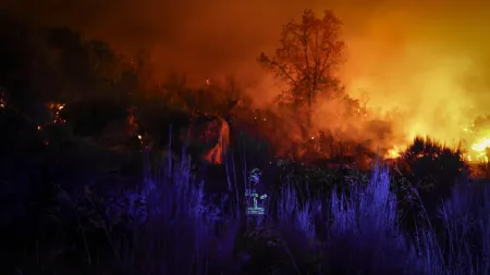 Coimbra reforça atendimento na sequência de incêndios devastadores