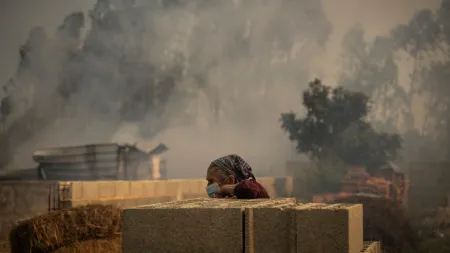 Incêndio em Portalegre e Castelo de Vide controlado novamente, afirma ANEPC