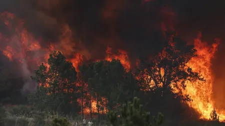 Incêndio na Guarda provoca alerta e preocupação nas localidades vizinhas