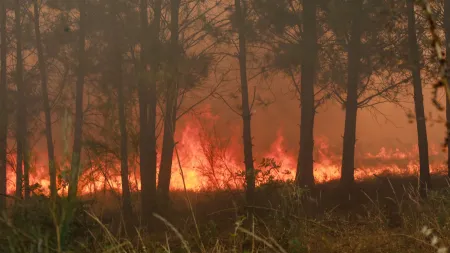 Incêndio no Douro Internacional alastrou a três concelhos