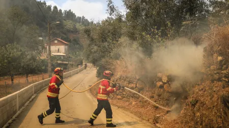 Incêndio na Lousã: Preocupação no Vale da Ribeira de São João