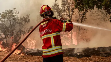 Incêndio em Nisa novamente controlado após reativação