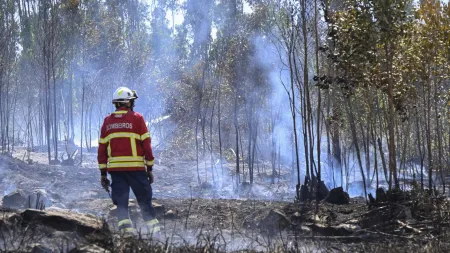 Incêndio no Douro Internacional reativa três frentes devido a condições meteorológicas