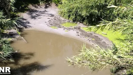 GNR descobre descarga poluente no rio Lis e interdita a Praia da Vieira
