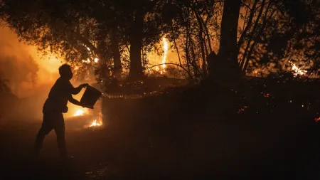 Tragédia em Sernancelhe: Empresário Incendeia Esperanças com Perda Total do Negócio