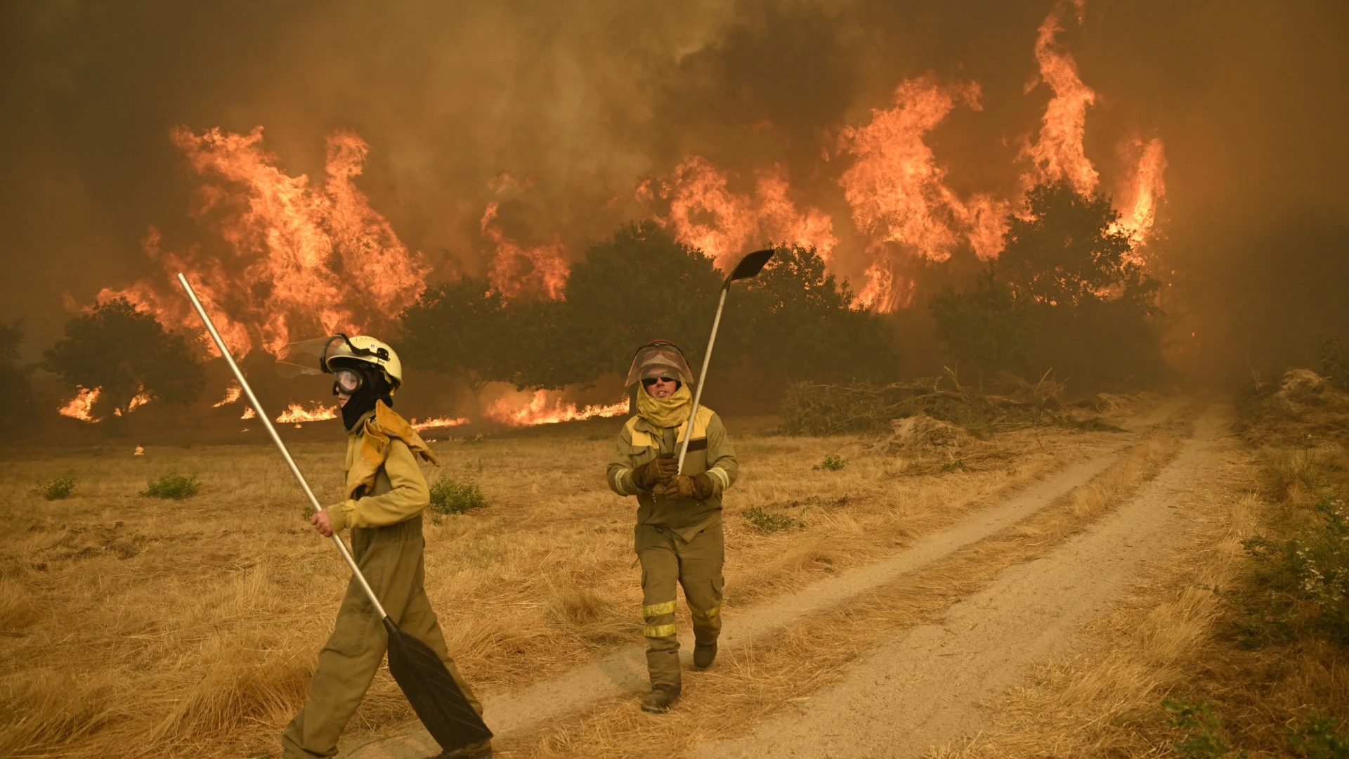 Incêndios em Espanha superam recorde histórico com 343 mil hectares devastados