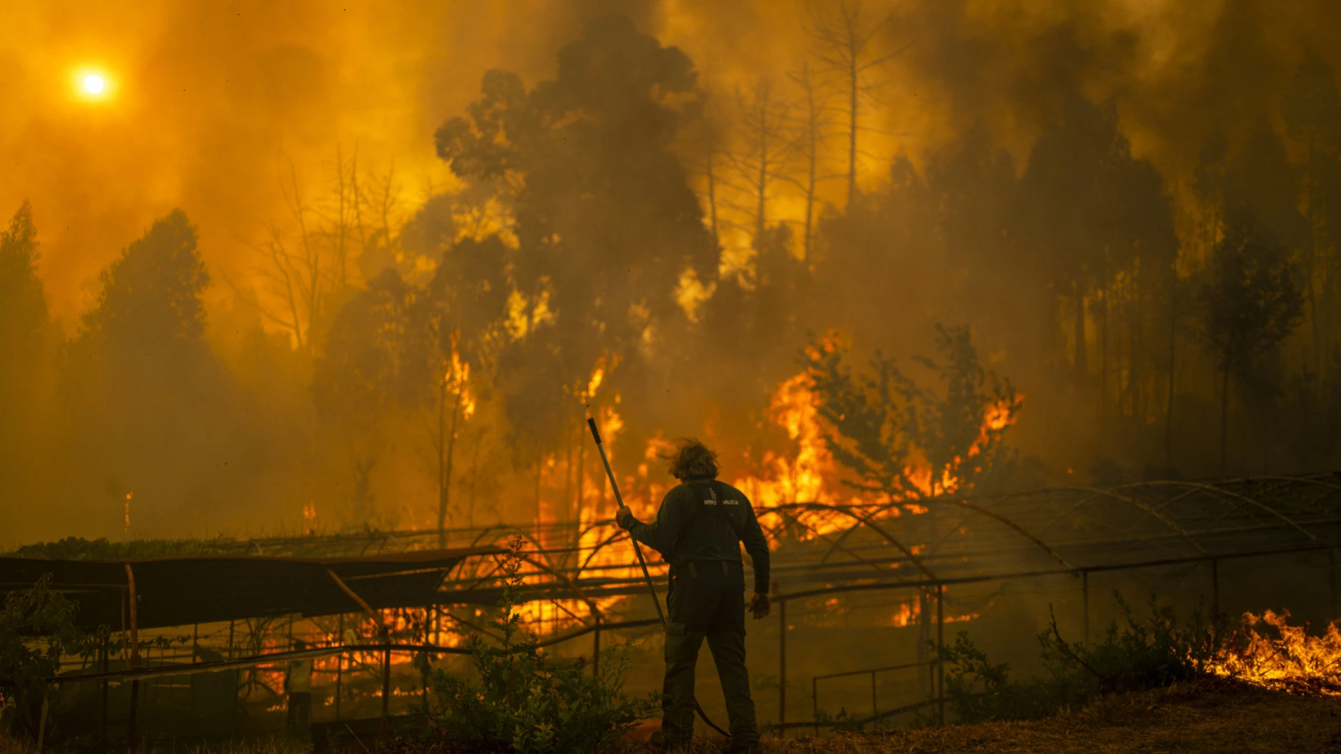 Incêndios em Espanha devoram habitats protegidos e ameaçam espécies raras