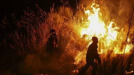 Incêndio em Mirandela estende-se a Vila Flor e ameaça habitações