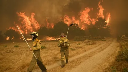 Incêndios em Espanha superam recorde histórico com 343 mil hectares devastados