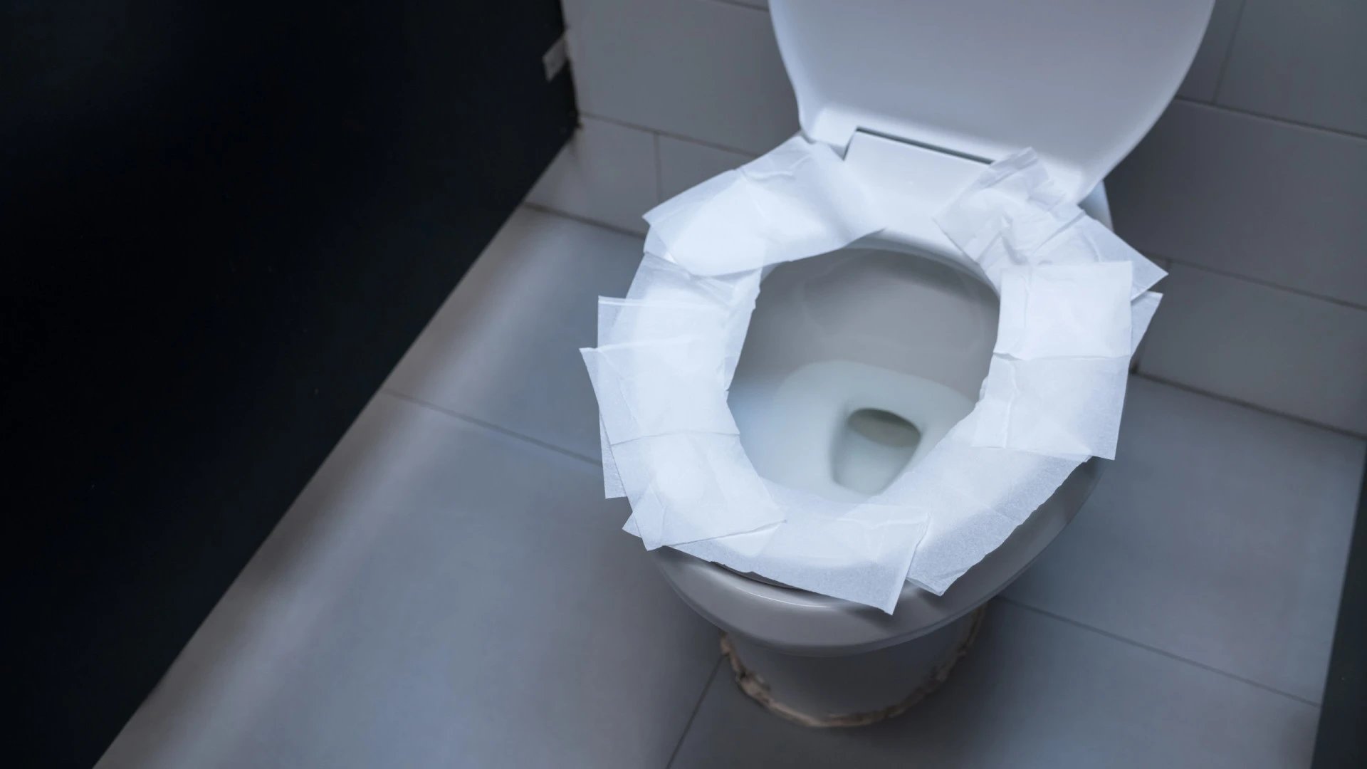 Os Éticos da Higiene: Deveríamos Cobrir a Sanita em Casas de Banho Públicas?