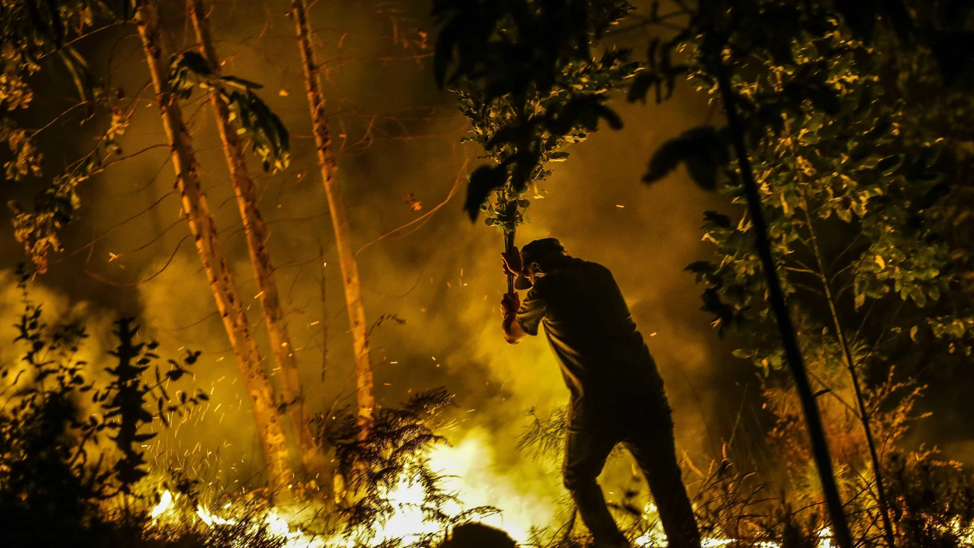 Incêndio devasta zona industrial em Chaves e consumiu grande quantidade de lenha