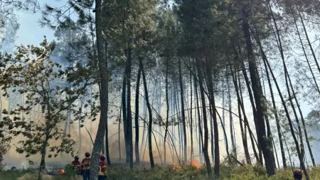 Incêndio na Pampilhosa da Serra: Focos Quentes Persistem Após Reacendimentos