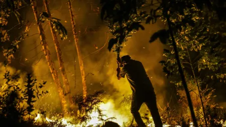 Incêndio devasta zona industrial em Chaves e consumiu grande quantidade de lenha