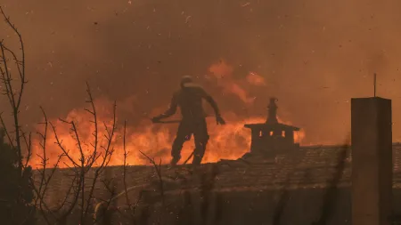 Oposição critica Governo por falta de apoio nas medidas contra incêndios